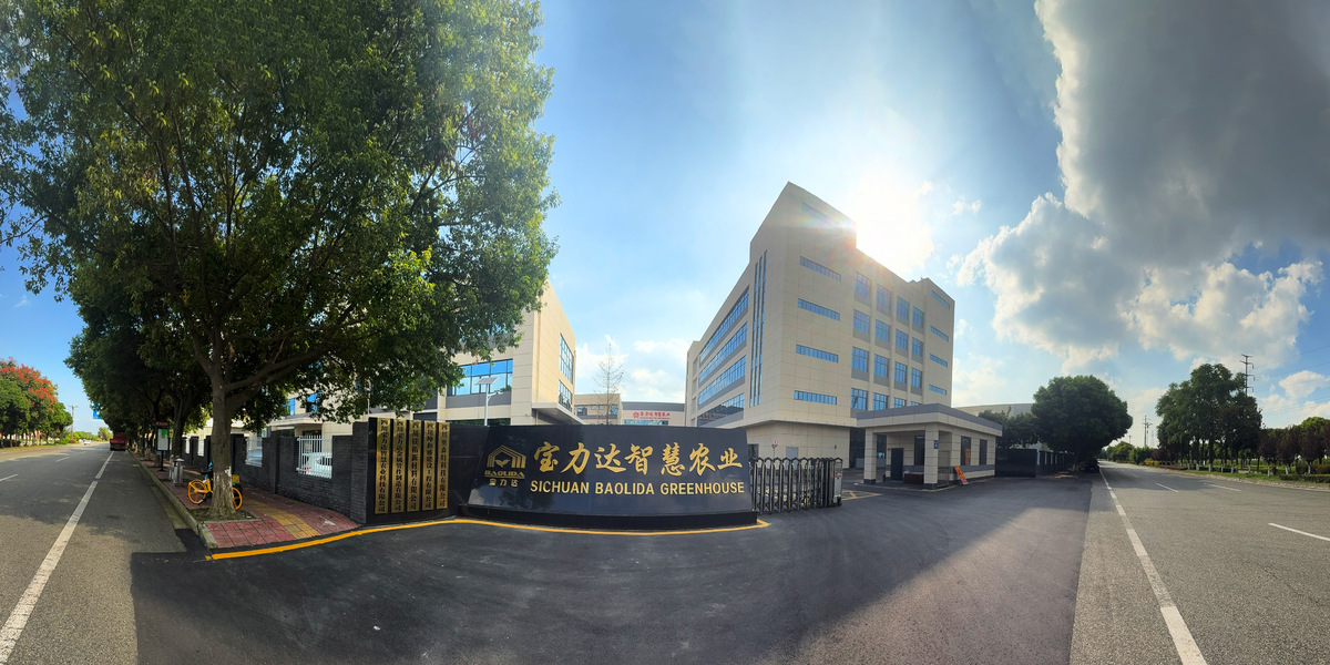 จีน Sichuan Baolida Metal Pipe Fittings Manufacturing Co., Ltd. รายละเอียด บริษัท