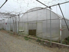 Hydroponic Tunnel Plastic Greenhouse System Steel Frame Arch
