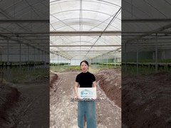 เตรียมพร้อมที่จะยกเกมการเกษตรของคุณ?