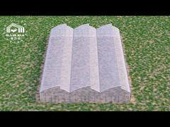 เรือนกระจกฟันเลื่อย