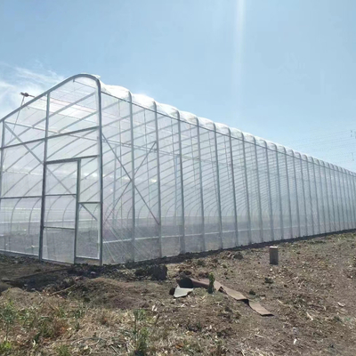 คุณภาพ  Plastic Film Solar Passive Greenhouse With Rainwater Collection Support โรงงาน