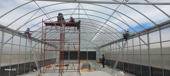 คุณภาพ  Automated Light Deprivation Greenhouse with 8mm Twin-Wall PC Board and Hot-Dip Galvanized Steel Frame Controlled by Smart PLC System โรงงาน