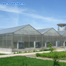 คุณภาพ  Commercial Polycarbonate Sheet Greenhouse / PC Sheet Greenhouse Customized Material โรงงาน