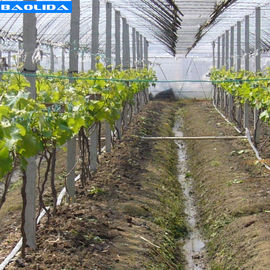 คุณภาพ  Small Greenhouse Irrigation System / Greenhouse Auto Watering System โรงงาน