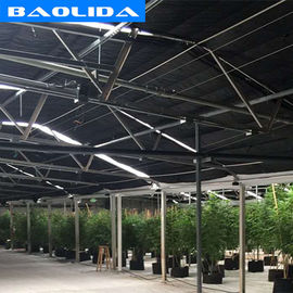 คุณภาพ  Advanced Automated Blackout Greenhouse Full Auto Light Deprivation Hemp Growing โรงงาน
