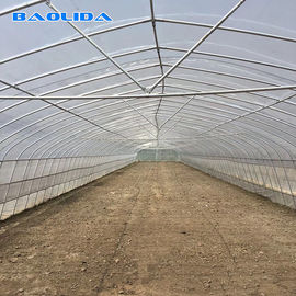 คุณภาพ  Tomato Growing Naturally Ventilated Greenhouse Plastic Film Greenhouse โรงงาน