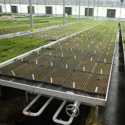 คุณภาพ  Modern Aluminum Greenhouse Ebb Flow Table With Drain Tray Valve โรงงาน