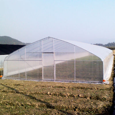 คุณภาพ  High Strength Agricultural Poly Tunnel Tomato Greenhouse 5*15m 17*50ft โรงงาน