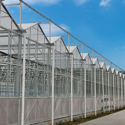 Multi Span Hyroponic Galvanized Float Venlo Greenhouse Glass ชุดการเกษตร