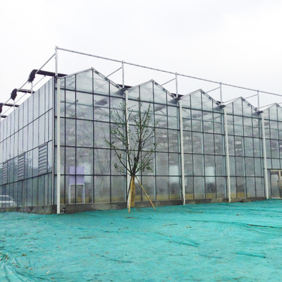 Hydroponic Growing System เรือนกระจกเกษตรพลังงานแสงอาทิตย์สำหรับผัก
