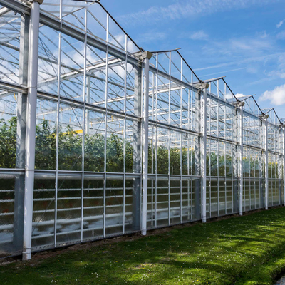 ด้านข้างและระบบระบายอากาศด้านบน Multispan Glass Covered Venlo Type Greenhouse