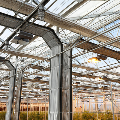 Led Grow Lighting อุโมงค์แสงอัตโนมัติ Dep Greenhouse Multi Span สำหรับ Hemps Growing