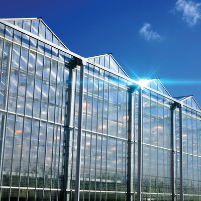ระบบปลูกแบบ Hydroponic Venlo Glass Greenhouse โครงเหล็กชุบสังกะสี