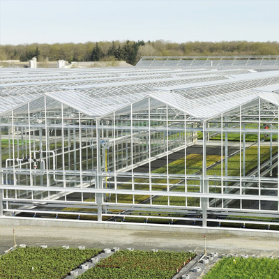 ระบบปลูกแบบ Hydroponic Venlo Glass Greenhouse โครงเหล็กชุบสังกะสี