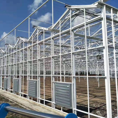 โครงสร้างเหล็กหลายช่วง Venlo Glass Greenhouse ไฟเบอร์กลาสครอบคลุม 1000m2