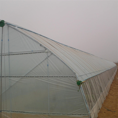 เรือนกระจกพลาสติกแบบอุโมงค์ 60 เมตรประหยัดการเกษตรแบบห่วงสูง