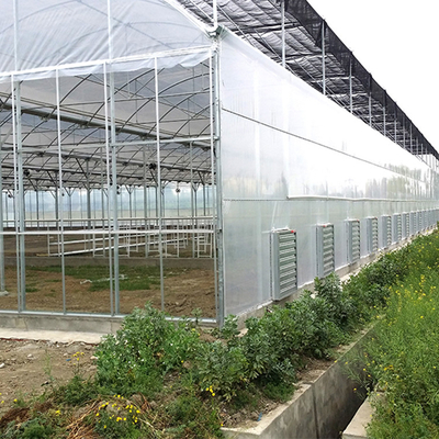 พลาสติกห่อหุ้มการเจริญเติบโตของพืชคุณภาพสูงที่ทนต่อลม 8 Mil Multi Span Greenhouse