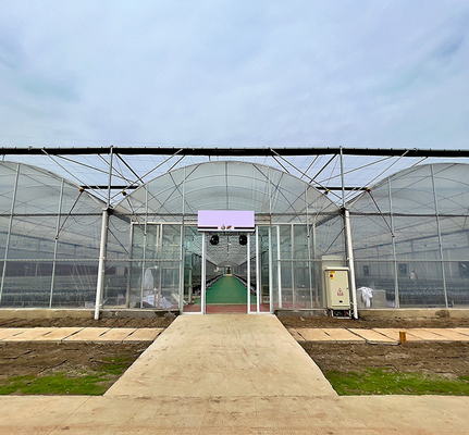 Multispan Sprinkler ชลประทาน 9m เรือนกระจกการเกษตร Multi Span Greenhouse