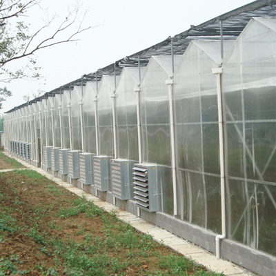 เรือนกระจกหลายช่วงสำหรับควบคุมสภาพอากาศสำหรับการผลิตผัก