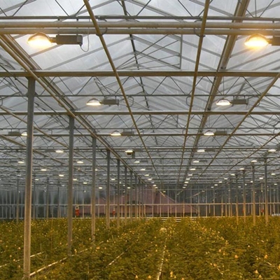 โรงเรือนปลูกพืชไร้ดินระบบไฮโดรโปนิกส์แผ่นโพลีคาร์บอเนต Multi Span 30 X 100