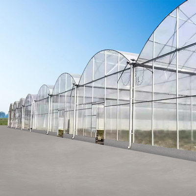 โรงเรือนปลูกพืชไร้ดินระบบไฮโดรโปนิกส์แผ่นโพลีคาร์บอเนต Multi Span 30 X 100