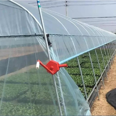 เรือนกระจกฟิล์มพลาสติกอุโมงค์โครงเหล็กชุบสังกะสีสำหรับพืชผักเติบโต