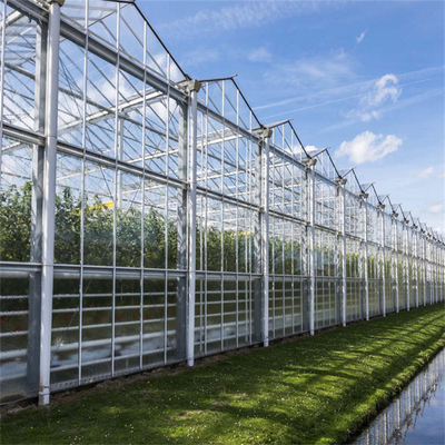 โครงเหล็กชุบสังกะสีแบบจุ่มร้อนโซลาร์เซลล์พลังงานแสงอาทิตย์ Venlo Glass Greenhouse Multi Span