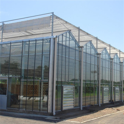 แผงกระจกนิรภัย Venlo Type Greenhouse Multispan สำหรับผัก Hydroponic