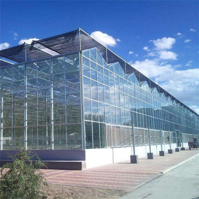 กรอบโลหะ Polytunnel Glass Venlo Type เรือนกระจกมีความเสถียร 60x90m