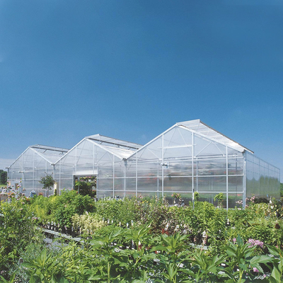 Polycarbonate Multi Span PC Sheet Greenhouse พืชอัตโนมัติที่กำลังเติบโต