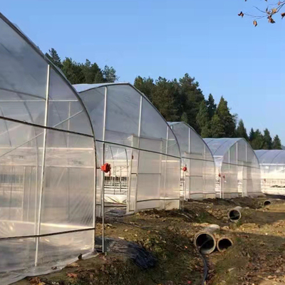 Single Span Poly Film อุโมงค์โค้งฟิล์มพลาสติกเรือนกระจกสตรอเบอร์รี่ผลไม้ปลูก