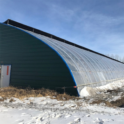 Cold Area Winter Passive Solar Greenhouse ฟิล์มพลาสติก Single Tunnel