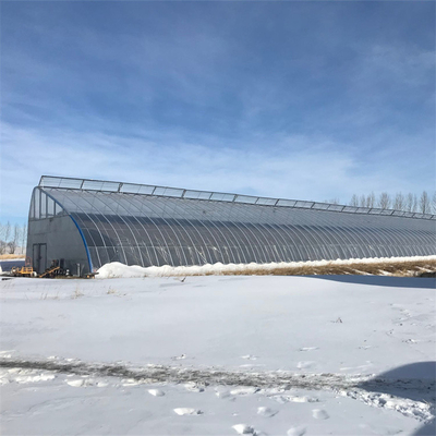 Cold Area Winter Passive Solar Greenhouse ฟิล์มพลาสติก Single Tunnel