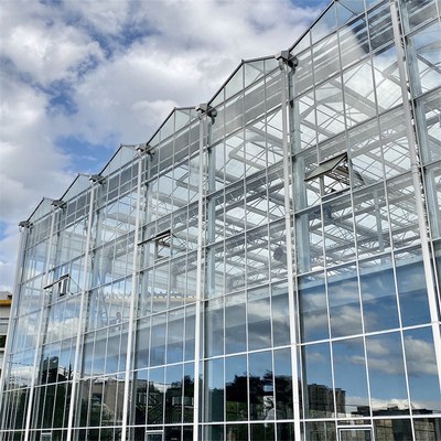 Tunnel Venlo Glass Greenhouse ควบคุมสภาพอากาศอัตโนมัติ