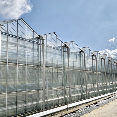 Venlo Automated Plant Hydroponic กระจกนิรภัยเรือนกระจก Multi Span Agricultural