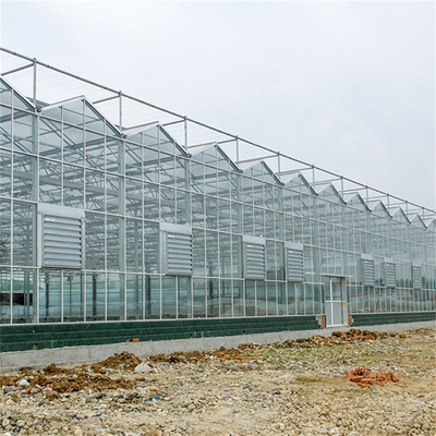 เรือนกระจกเกษตรกระจกนิรภัยแบบจีน Venlo Type Galvanized Commercial