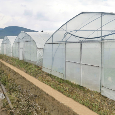 Hydroponic System Steel Frame Arch ฟิล์มพลาสติก Poly Tunnel Greenhouse สำหรับมะเขือเทศ