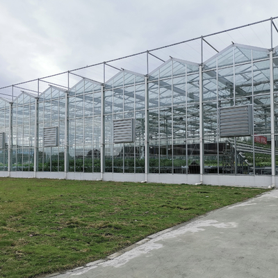 เรือนกระจกดอกไม้เกษตรแก้วอุตสาหกรรมกลางแจ้ง Multispan Glass เรือนกระจกดัตช์มืออาชีพสำหรับการปลูกดอกไม้