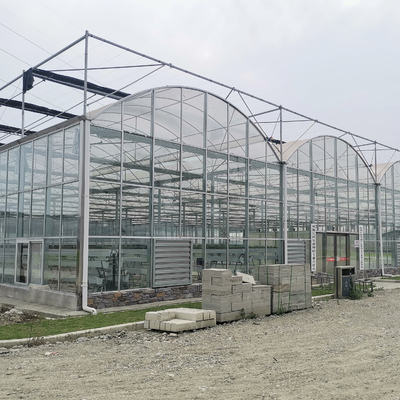 ไฮโดรโปนิกส์ มะเขือเทศ แตงกวา ดอกไม้ ซุ้มประตูอัตโนมัติ Multispan Glass Greenhouse