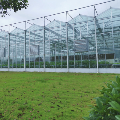เรือนกระจกดอกไม้เกษตรแก้วอุตสาหกรรมกลางแจ้ง Multispan Glass เรือนกระจกดัตช์มืออาชีพสำหรับการปลูกดอกไม้