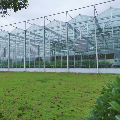 ระบบทำความร้อน Serra Di Vetro เรือนกระจกหลายช่วง Venlo Greenhouse อะไหล่ Venlo Glass Winter Greenhouse