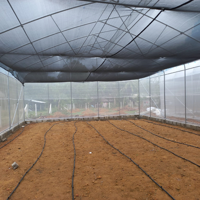 ฟิล์ม UV การเกษตร ช่องระบายอากาศด้านบน โรงเรือนพลาสติก ช่วงเดียว ปรับแต่งได้