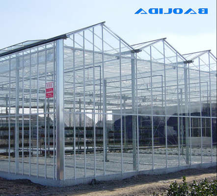 เรือนกระจกแก้ว Venlo ขนาดใหญ่โครงสร้างแข็งแรงสูง ISO9001