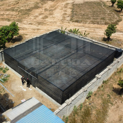 โรงเรือนกระจกเหล็กพอลิเอธีเลนฟิล์ม พร้อมเครือเงาและเครือแมลง