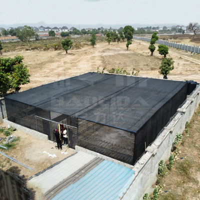 โรงเรือนกระจกเหล็กพอลิเอธีเลนฟิล์ม พร้อมเครือเงาและเครือแมลง