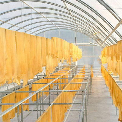 โปรโมชั่น โพลิการ์บอนาท ปลาแห้งเรือนกระจกด้วยการป้องกัน UV และโครงสร้างที่มั่นคง