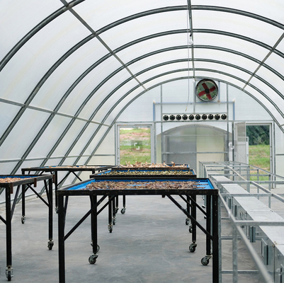 โรงเรือนกระจกแห้งแสงอาทิตย์พอลิการ์บอเนตแบบกําหนดเอง พร้อมการป้องกัน UV สําหรับการแห้งพืชและอาหาร