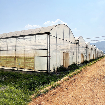 กันลม UV Net House โรงเรือนกระจก ปรับสิ่งแวดล้อม