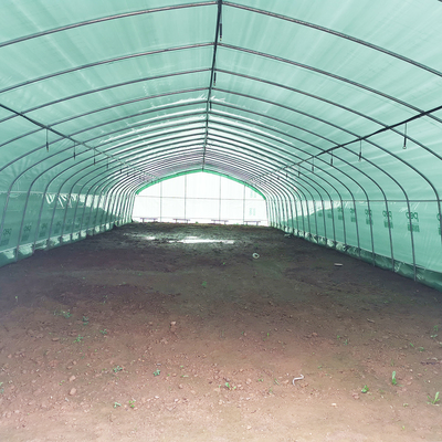 โรงเรือนกระจกพลาสติกแบบอบอุ่นชั้นเดียว มาเลเซีย โรงเรือนกระจกดอกทอด สําหรับการเกษตร