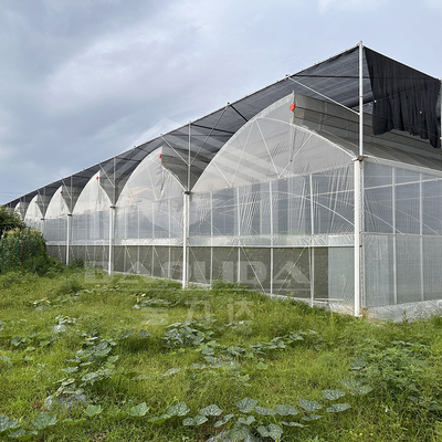 Hot Dip Galvanized Steel Pipe Greenhouse บ้านเรือนเรือนเรือนเรือนเรือนเรือนเรือนเรือนเรือนเรือนเรือนเรือนเรือน